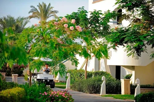 Caire / Sharam El cheikh ÉTé 2024 