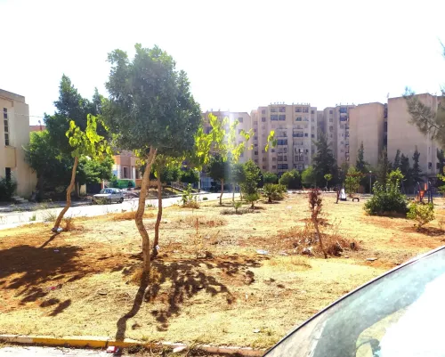 Location Local Blida Ouled yaich