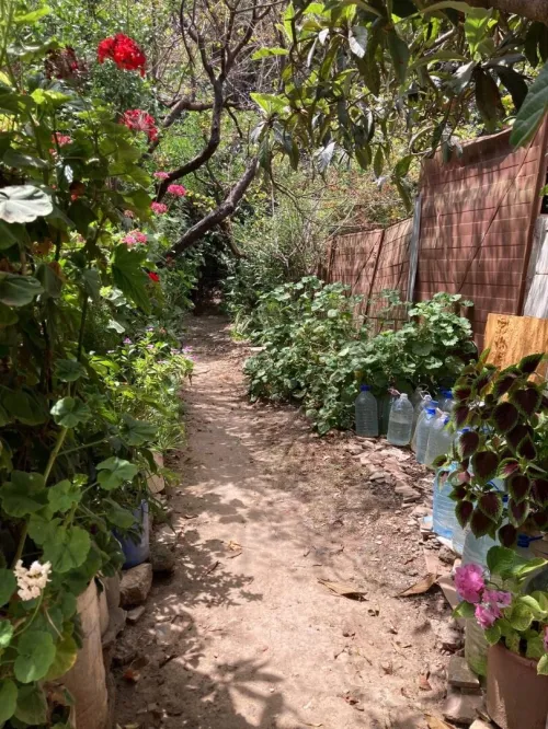 Vente Terrain Blida Chiffa