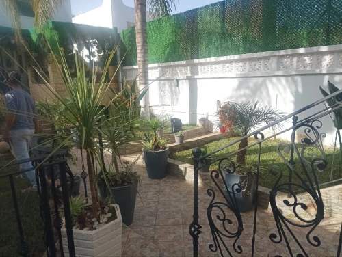 Vente Villa Alger Dely brahim