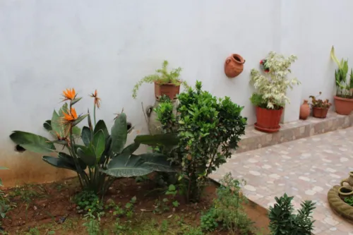 Location vacances Niveau De Villa F3 Jijel Ziama mansouriah