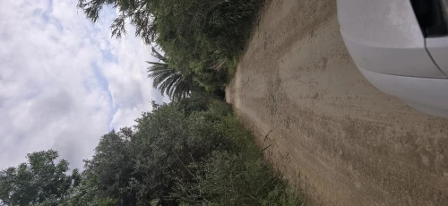 Vente Terrain Agricole Tipaza Kolea