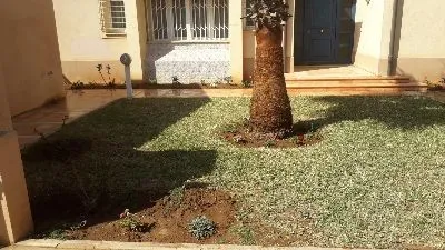 Aménagement et décoration de jardin moderne 