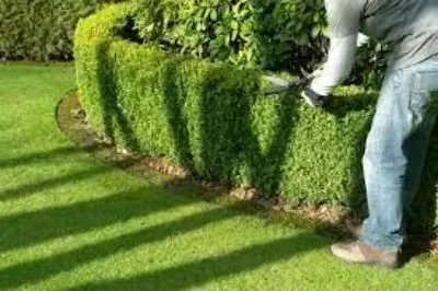 Aménagement et décoration de jardin moderne 