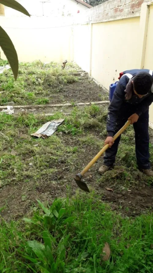 Entreprise d'aménagement des espaces verts 