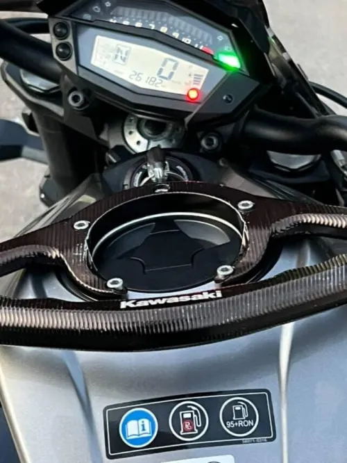 Kawasaki Z1000 2019