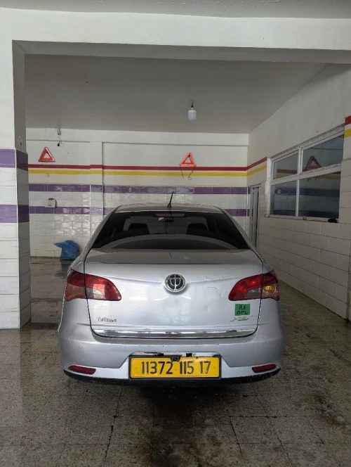 Brilliance FSV 2015 FSV