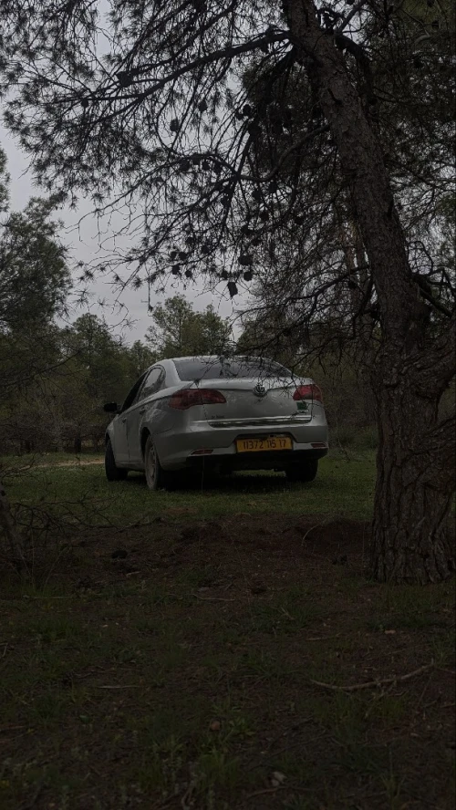 Brilliance FSV 2015 FSV