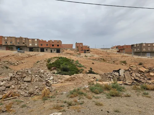 Vente Terrain Tlemcen Maghnia
