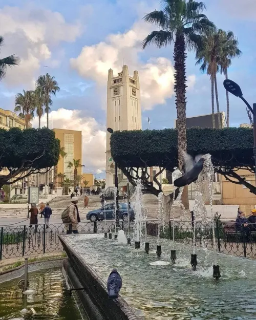 Location Mostaganem Hassi maameche