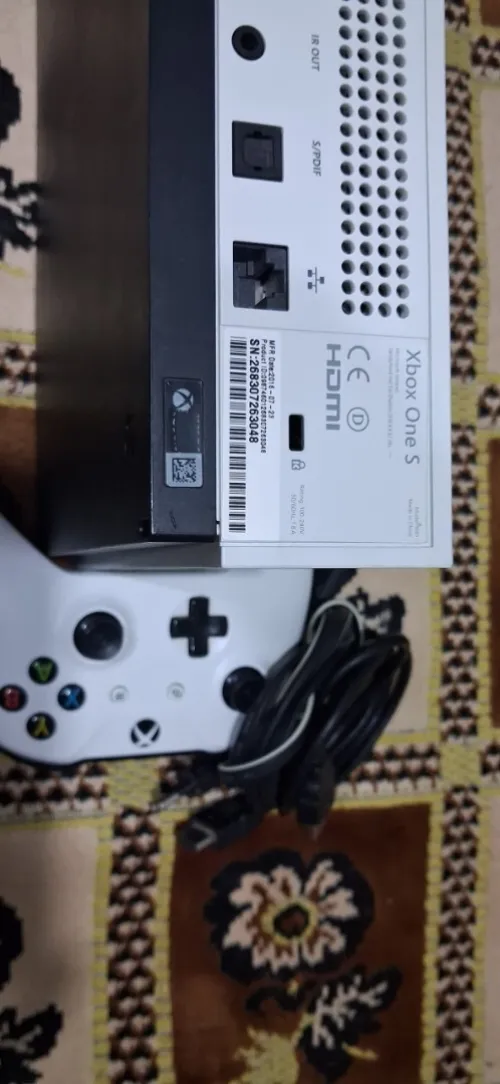 بني ثور ورقلة 30