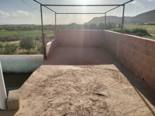 Vente Terrain Agricole Laghouat Laghouat 7