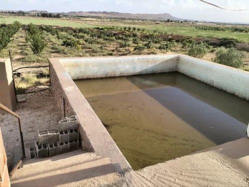 Vente Terrain Agricole Laghouat Laghouat 6