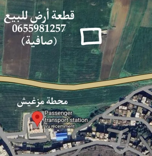 Vente Terrain Skikda Sidi mezghiche