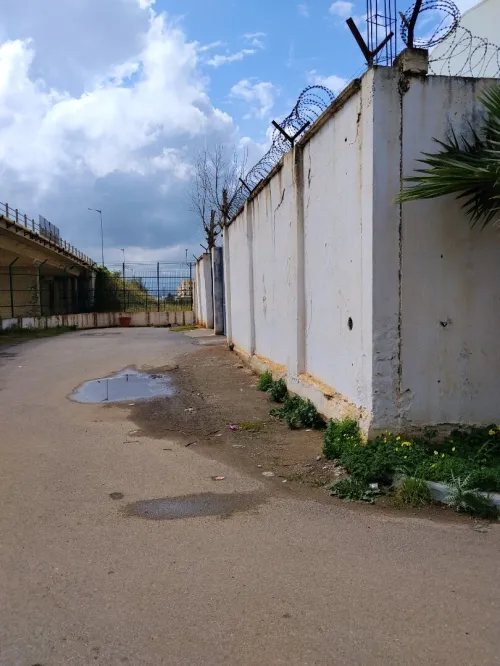 Vente Hangar - Usine Alger Birtouta