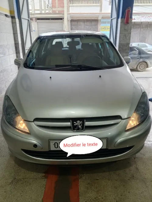 Peugeot 307 2004 XT