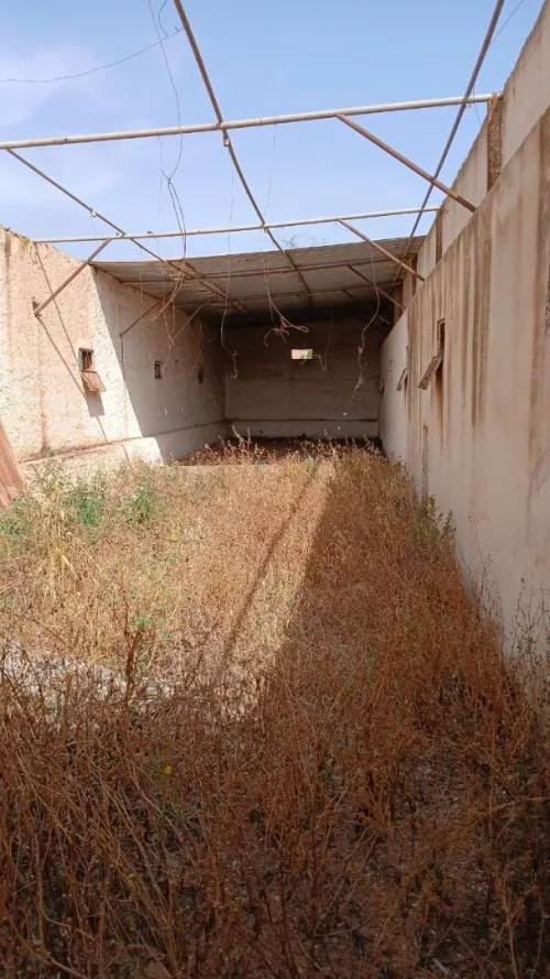 Vente Hangar Mostaganem Souaflia