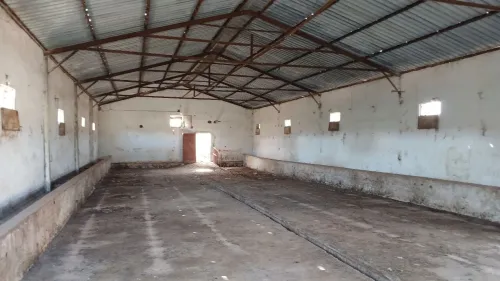 Vente Hangar Mostaganem Souaflia