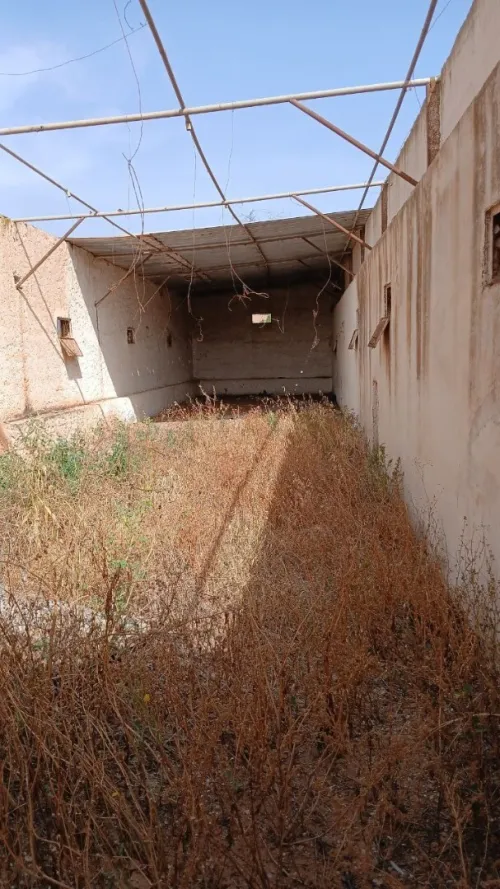 Vente Hangar Mostaganem Souaflia