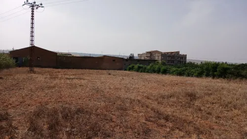 Vente Hangar Mostaganem Souaflia