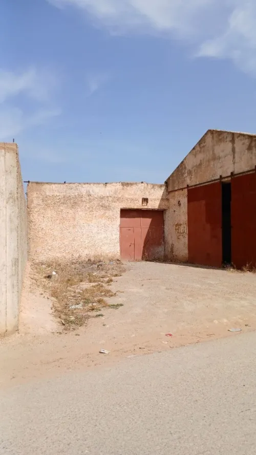 Vente Hangar Mostaganem Souaflia