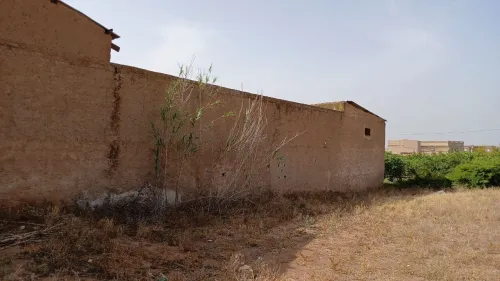 Vente Hangar Mostaganem Souaflia