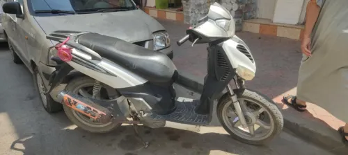 benelli logik 2018