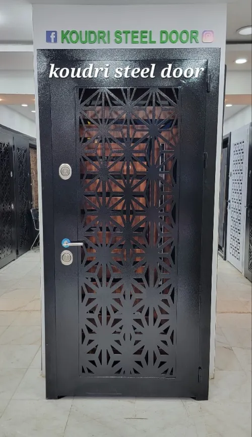 Koudri steel door 