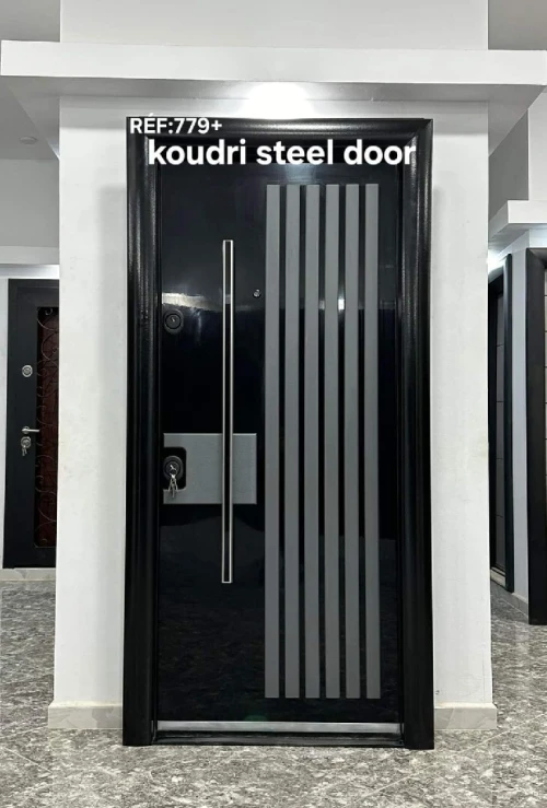 Porte extérieur AADL LPA LPP LSP SOCIAL VILLA 