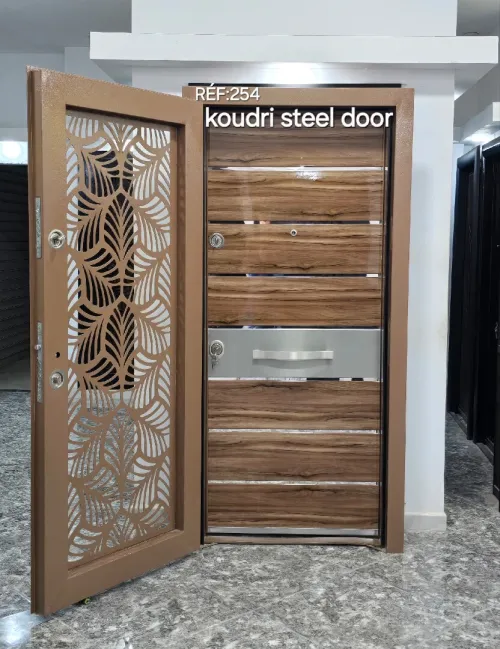 Koudri steel door 