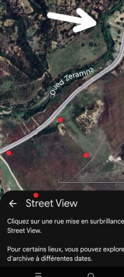 Vente Terrain Skikda Bouchtata
