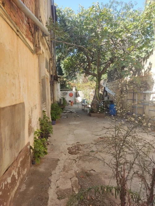 Vente Terrain Alger Les eucalyptus