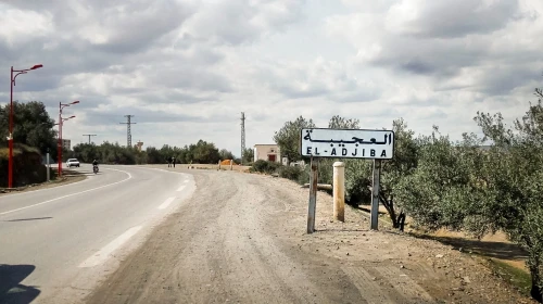 Cherche achat Terrain Agricole Bouira El adjiba
