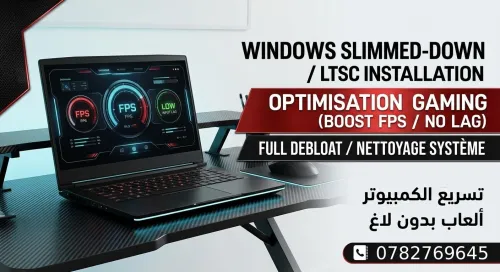 Optimisation Windows Gaming & Pro (LTSC / Boost FPS / No Lag)