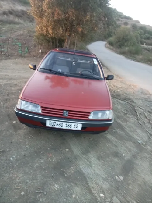 Peugeot 405 1988 405