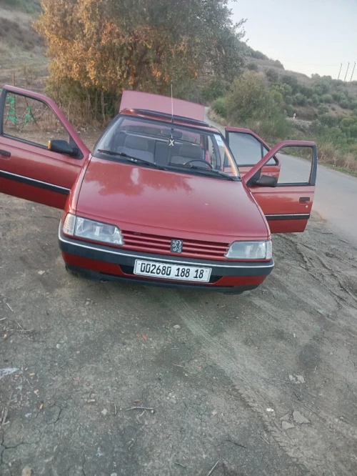 Peugeot 405 1988 405