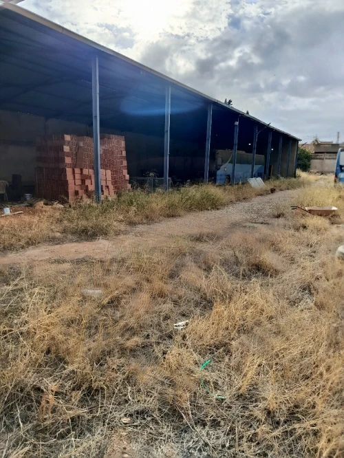 Location bien immobilier Chlef Chettia