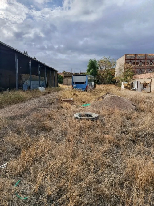 Location bien immobilier Chlef Chettia