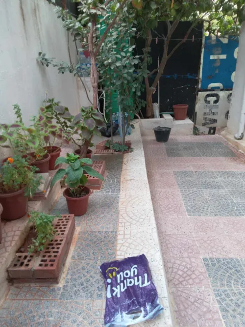Vente Villa Boumerdès Thenia