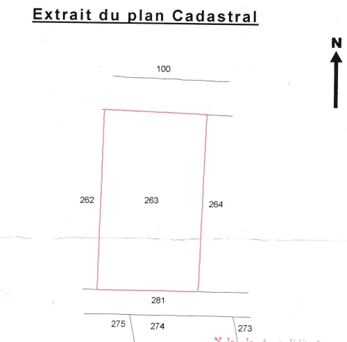 Vente Terrain Blida Mouzaia