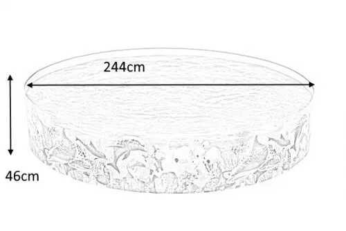 Bestway Piscine en Vinyle et PVC Transparente Pour Enfants 244x46cm #55031