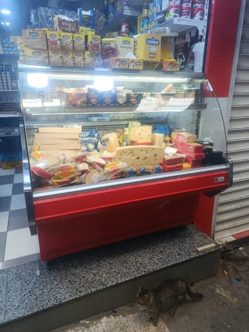 2 armoires morsi + présentoir frigo simafe