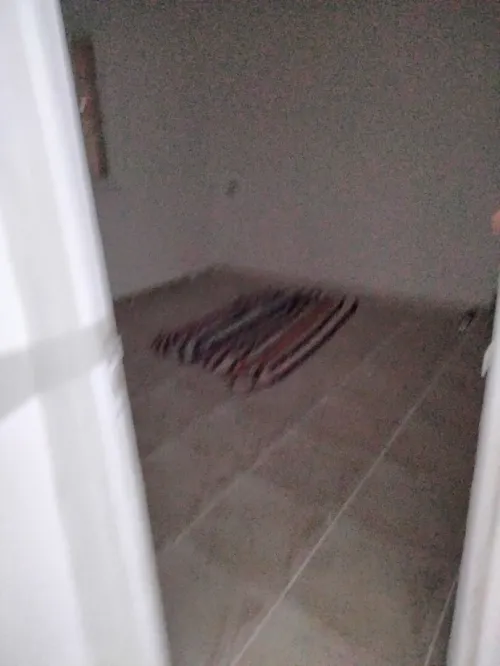 Vente Appartement F3 Khenchela Khenchela