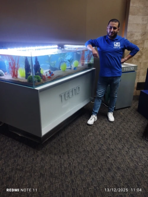 Aquarium sur mesure chez AQUA DZ