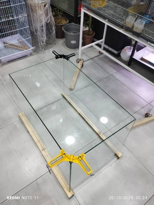 Aquarium sur mesure chez AQUA DZ