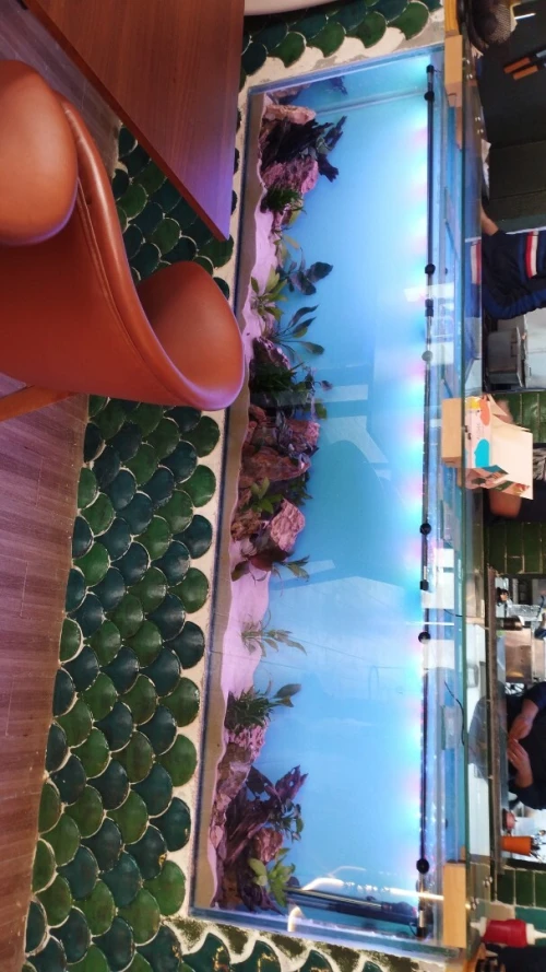 Fabrication d'aquarium sur mesure 