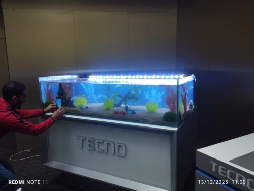 Aquarium sur mesure chez AQUA DZ