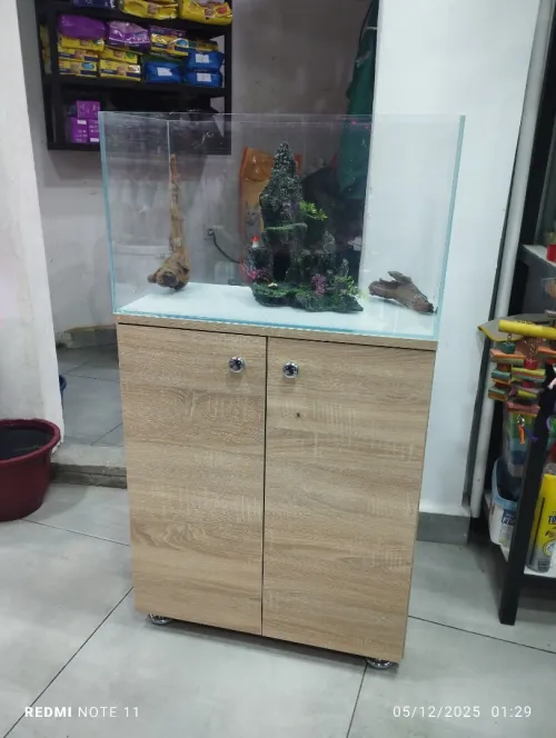 Aquarium sur mesure chez AQUA DZ