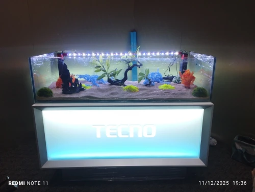 Aquarium sur mesure chez AQUA DZ