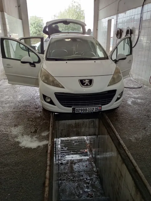 Peugeot 207 2012 Fennec